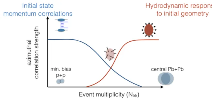 Figure 1. Illustration of the expected relative strength of diﬀerent sources of long range azimuthal correlations:(blue) initial state momentum correlations (red) ﬁnal state response to initial state geometry