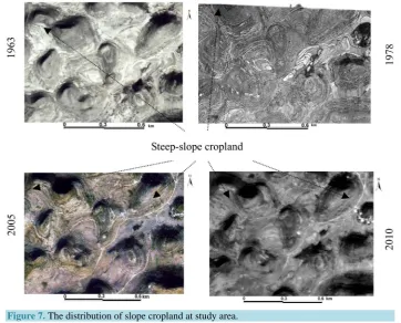 Figure 7. The distribution of slope cropland at study area. 