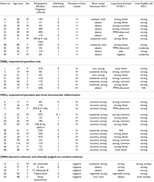 Table 1: CM(A), insignificant physically apparent brain pathology