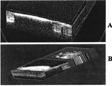 Figure 5, 6 and 7. The layers identified in Figures 3 and 4 are clearly displayed in these images, although the OCT cuts(C-scans) are oriented perpendicular to the Z direction.