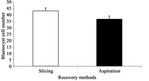 Figure 5. Effect of oocyte recovery method (slicing or aspiration) on blas-tocyst cell number