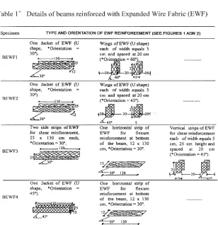 Figure 3 Loading arrangement and demec points for a typical test beam.