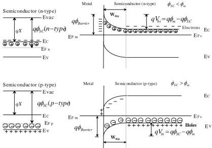 Figure 3.1. The band profile for both an n-type and a p-type semiconductor in equilibrium with the metal