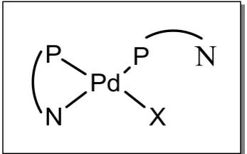 Figure 2.1.   Structure of active catalytic species. N-P represents Ph2Ppy ligand, X 