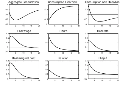 Figure 4: Impulse response functions to a government spending shock. Baseline parameteri-