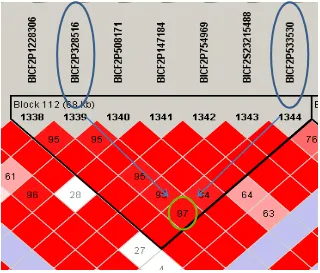 Figure 3.1. Haplotype LD plot example. Number circled in green is D’ value between SNPs circled in blue