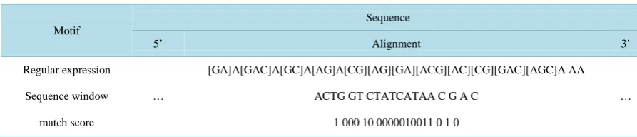 Table 1. Example of match score between a motif and a part of a sequence. The number of matches is 6