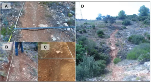 Figure 10. View of the L’Alcúdia de Crespins trail. A, detail of the measurement in the north  facing section; B, view of the measurement in the north-facing section; C, Detail of the depth of  soil lowering in the south-facing section; and, D, View of the