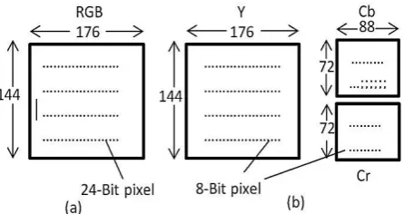 Fig 2: (a) RGB input data. (b) After convert to YCbCr. 