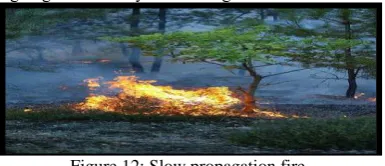 Figure 12: Slow propagation fire This type is kind of a tricky one, it might be extinguished on its 