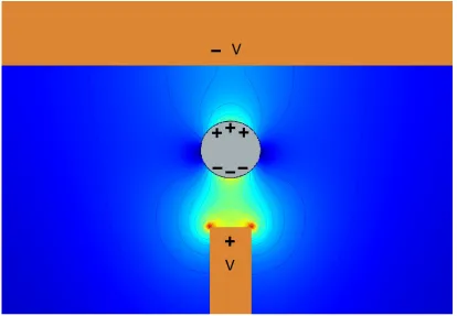 Figure 2.2. Simulated non-uniform electric field displays different field strength acting on the sameparticle
