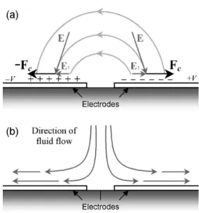 Figure 2.5. A schematic diagram representing the mechanism of AC Electroosmosis. (a) shows thecharge layer around electrodes, electric field between two electrodes and it’s tangential component Et.Induced charge experiences a force Fc due to Et