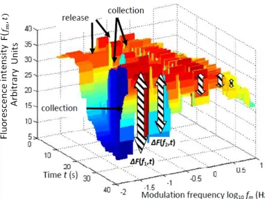 Figure 4.6. AM DEP fluorescence for 0.5μm diameter spheres as a function of time t and modulationfrequency