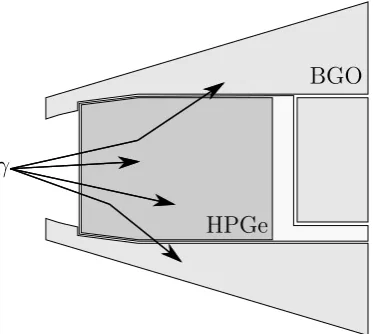Figure 1.1: HPGe crystal with bismuth germanate shielding, the standard de-tection unit for large escape suppression arrays