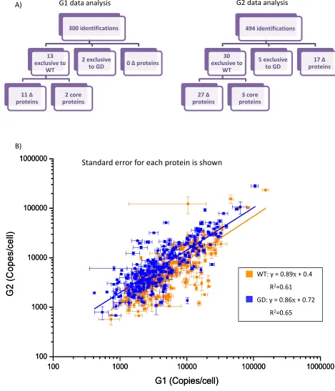 Figure 3.12. Comparison of Synapt™ QuanToF first and second generation mass spectrometers.Proteolysed samples were diluted to 500ng/µl for Synapt™ G1 analysis and 1000ng/µl for Synapt™ G2and high energy (trap ramps 15processed and quantified using PLGS 2.5