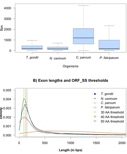 Figure 2:2 A) The boxplot shows the exon distribution and the extreme values (whiskers) across apicomplexan parasites from C