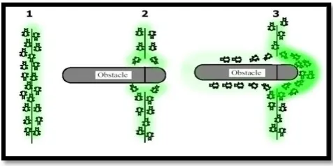 Figure 2.  The Pheromone build-up allows ants to reestablish the shortest path. 