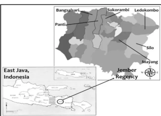 Figure 2.   Map of Jember Regency, East Java, Indonesia 