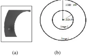 Figure 4. (a) Sample exudates (f) candidate exudatesselected from macular region (h) Classified exudates by