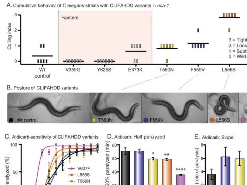 Figure 4CLIFAHDD mutations result in gain and loss of channel function in Caenorhabditis elegans