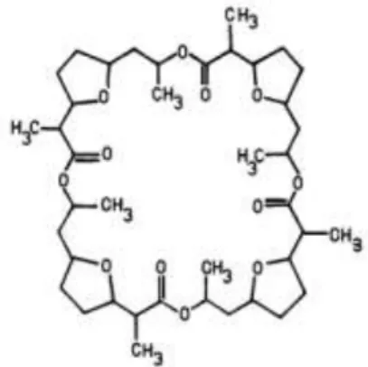 Fig. 2: The molecular structure of nonactin.  A  novel  2-hydroxyisophtalamide  macrocycle 