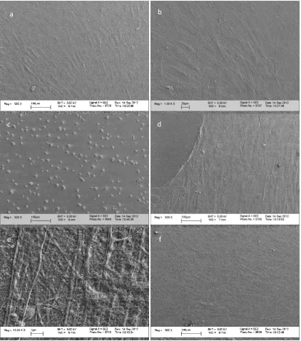 Figure 4.10: SEM images of human MSCs cultured on modified glass for 7 days(a) CL3, (b) CL4, (c) CL6, (d) CL7, (e) CL11* and (f) untreated control