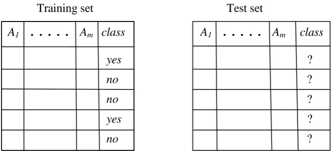 Figure 2.1: Basic difference between training set and test set in the classification task