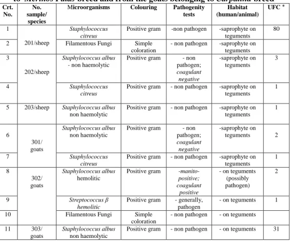 Table no.4  Microbial flora from the milk samples taken from the mother sheep belonging 