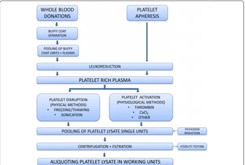 Fig. 1 Procedure for PL and platelet releasate preparation