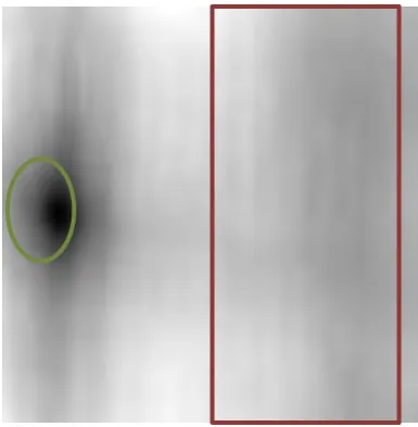 Figure 3: Raw image data 