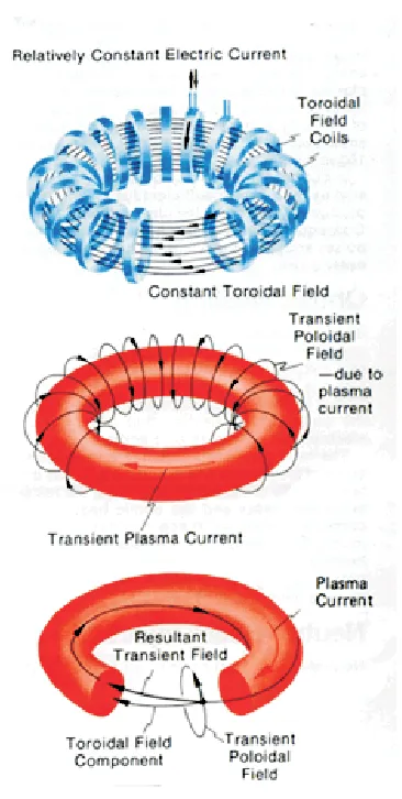 Figure 2.3: Tokamak ﬁelds [18].