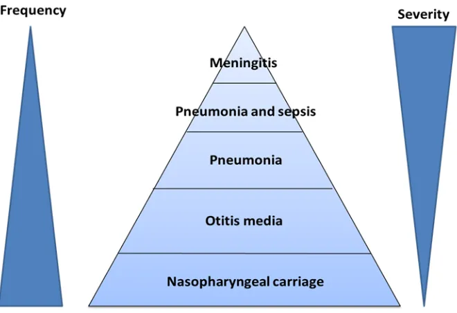 Figure 1.5: Burden of pneumococcal disease demonstrating the inverse relationship between frequency and severity