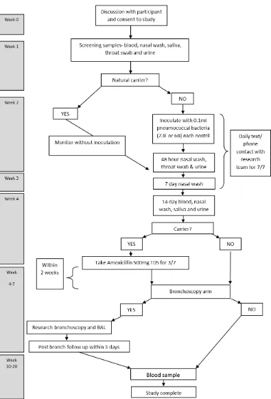 Figure 2.1: Flow chart of Dose-Ranging study appointments. The throat swab was not 