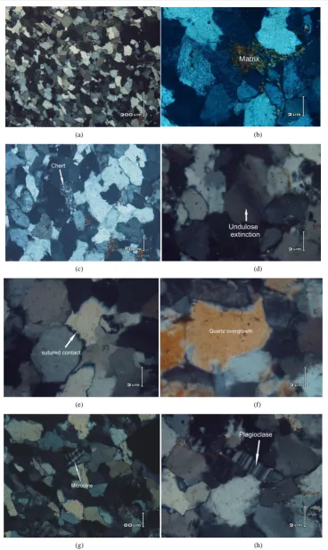 Figure 3. Photomicrographs showing important petrographic features in the investigated samples of sub-arkose from Misri Banda