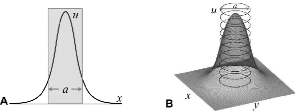 Figure 3-1: Illustrative comparison between profiles of the chemotactic agent in one and two-dimensional systems