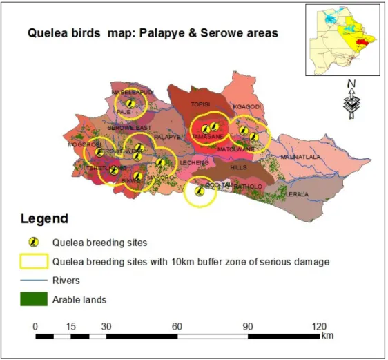 Figure 4. Distribution of quelea birds 