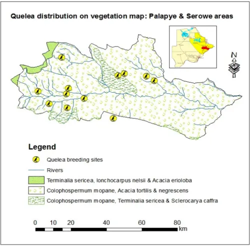Figure 5. Distribution of quelea birds and their habitats 