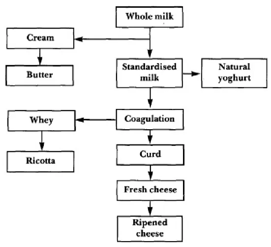 Figure 1: Conversion of milk into dairy products  Source: Peacock 1996 