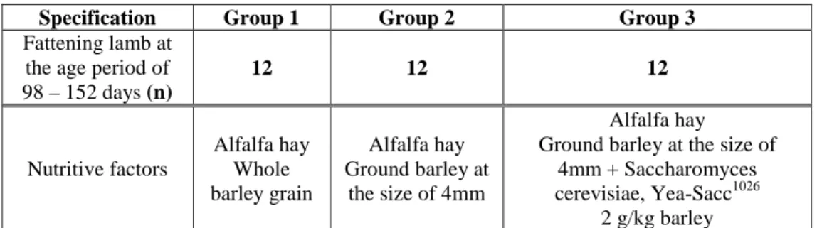 Table 1  Experiment organization program  
