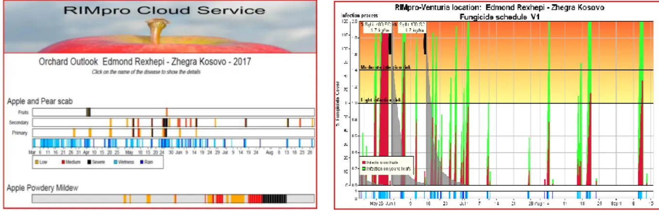 Figure 1. DSS RIMpro: a) platform view; b) infection process 
