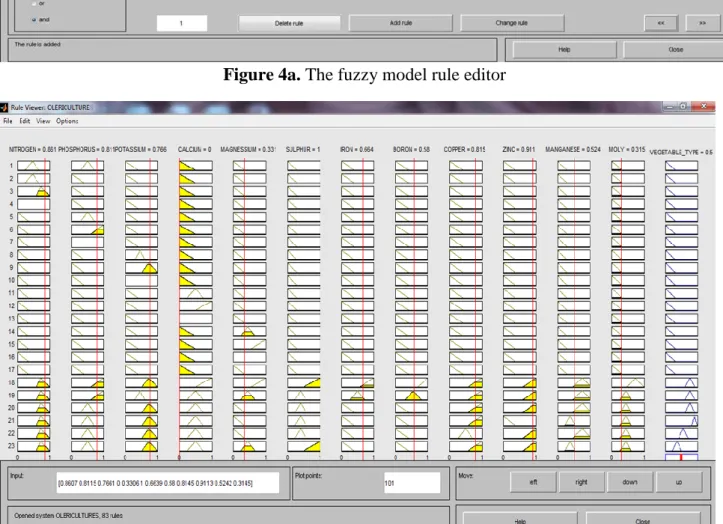Figure 4b. Fuzzy model rule editor viewer 