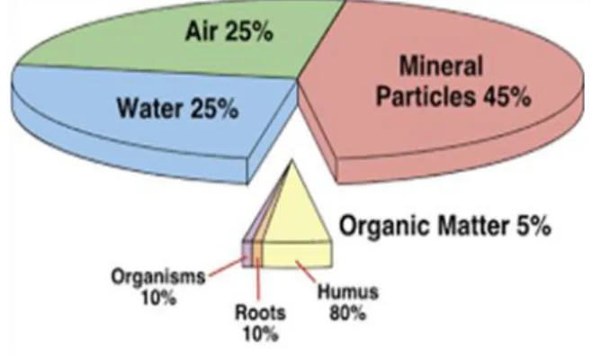 Figure 1. The composition of the soil sample 