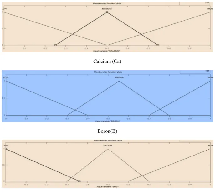 Figure 4a and 4b depict a fuzzy rule editor and viewer. A fuzzy rule editor is an interface in fuzzy  logic for creating, editing and modifying rules, which are used by the fuzzy inference system for result  prediction