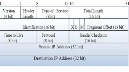 Fig. 1: IPV4 Header 