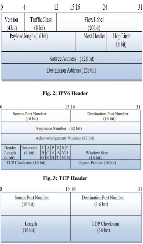 Fig. 2: IPV6 Header   