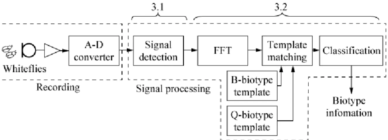 Figure 5 contains a schema that outlines the signal-processing procedure for automatic detection of  whitefly sound