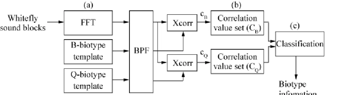 Figure 8. Signal processing for biotype identification of whitefly 