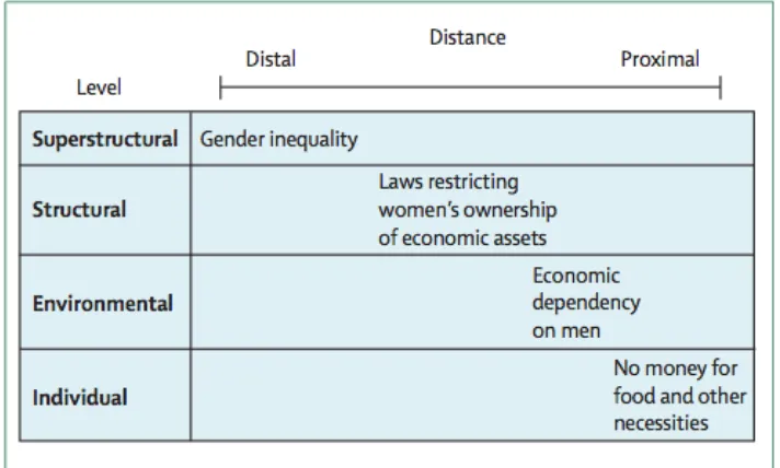 Figure 2.3: Framework to understand how gender inequality might lead to 