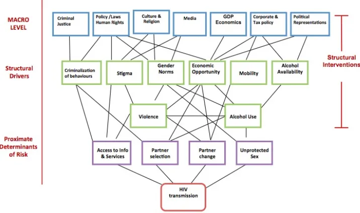 Figure 2.4: STRIVE conceptual framework on understanding structural 