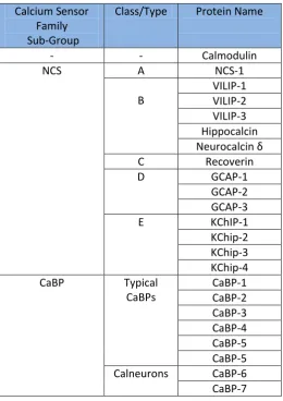 Table 1.1 Summary of Mammalian NCS-1 and CaBP Protein Families 
